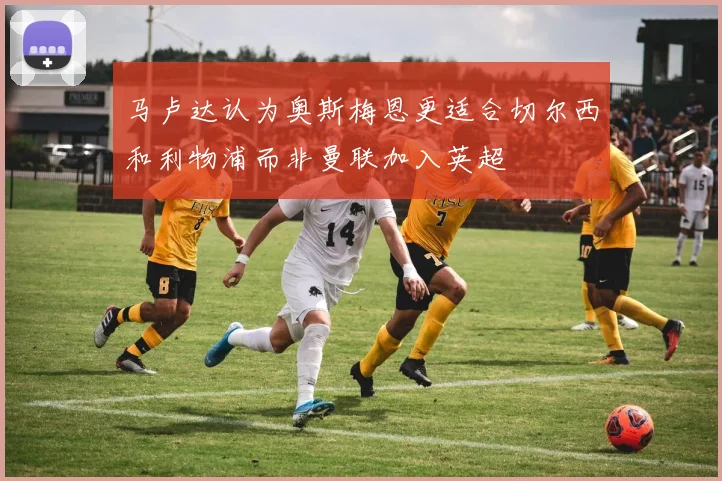 马卢达认为奥斯梅恩更适合切尔西和利物浦而非曼联加入英超